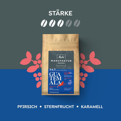 Melitta Manufaktur-Kaffee Guatemala Honey, Spezialitäten, 250g, Ganze Bohnen, Ungemahlen, Single-Origin, Sanfte Trommelröstung, Geröstet in Deutschland, Stärke 3