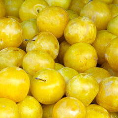 Pflaumen Son Gold - Obstpflanze Auf Blumentopf 20 - Baum Max 170 Cm – 2 Jahre Anbau Italien