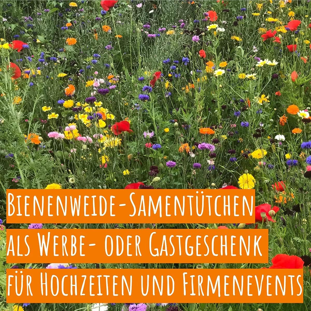 Bienenweide Samentütchen - Blumenwiesensamen Mehrjährig - Blumensamen Als Hochzeitsgeschenk, Gastgeschenk, Werbegeschenk, Werbeartikel Personalisiert (100 X 4G)
