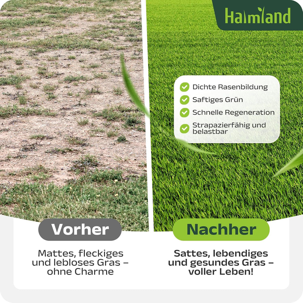 SEHR GUT Getestet | Rasensamen Schnellkeimend 1Kg Für 40M² | Frühjahr Sport Und Spiel Rasen | Grassamen Trockenresistent Für Rasensaat Und Nachsaat