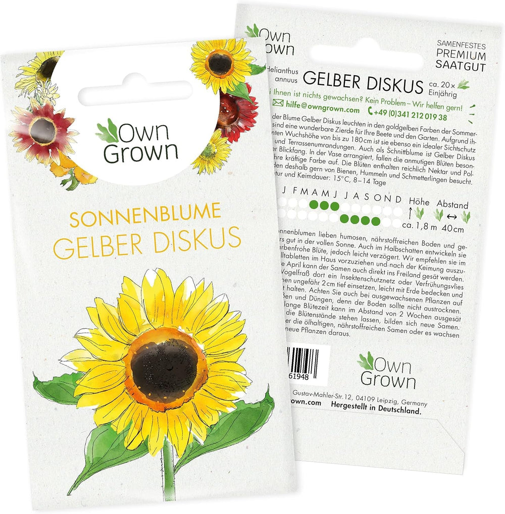 Semințe de floarea-soarelui Discus galben (Helianthus annuus): Semințe de floarea-soarelui premium, semințe de floarea-soarelui pentru cultivarea a aproximativ 20 de plante de floarea-soarelui – Semințe de flori prietenoase cu insectele de la OwnGrown