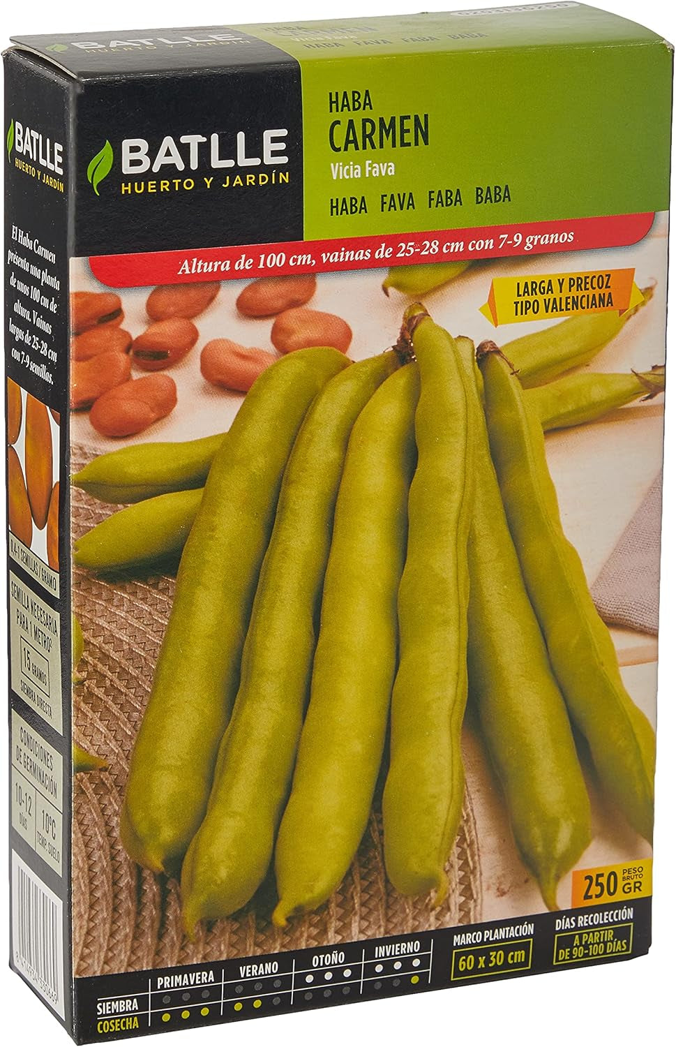 Samen Batlle – Haba Frühe Bohne Carmen, Lang 1 Kg