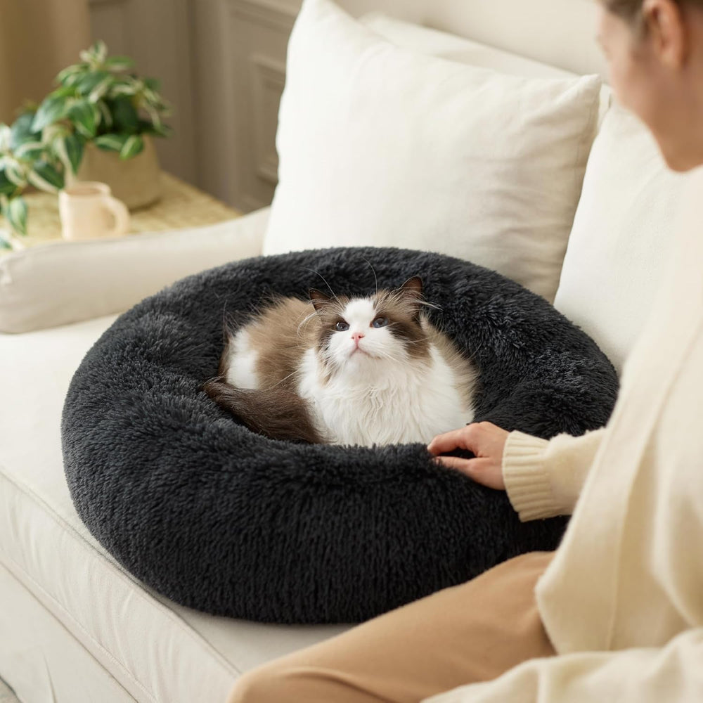 Paturi & Canapele, Pături & Mobilier, Animale de companie, Pisici, Paturi pentru pisici, Pisici - culcusuri, saltele