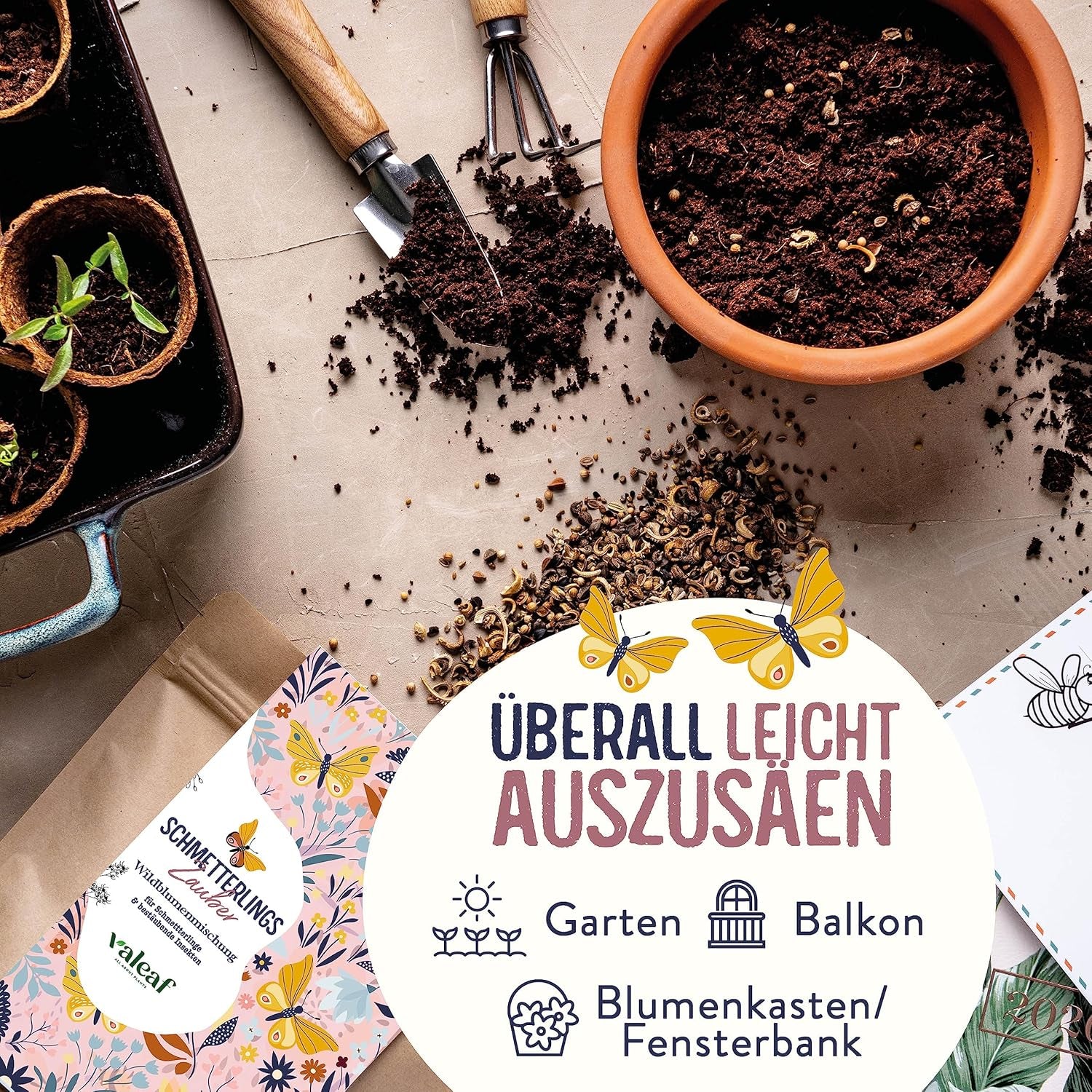 Schmetterlingswiese I 200 G I Blumenmischung Für 200 M² I Blumenwiese Samen Mehrährig Und Einjährig I Wildblumensamen Für Schmetterlinge Und Bienen I Wiesenblumen Samen