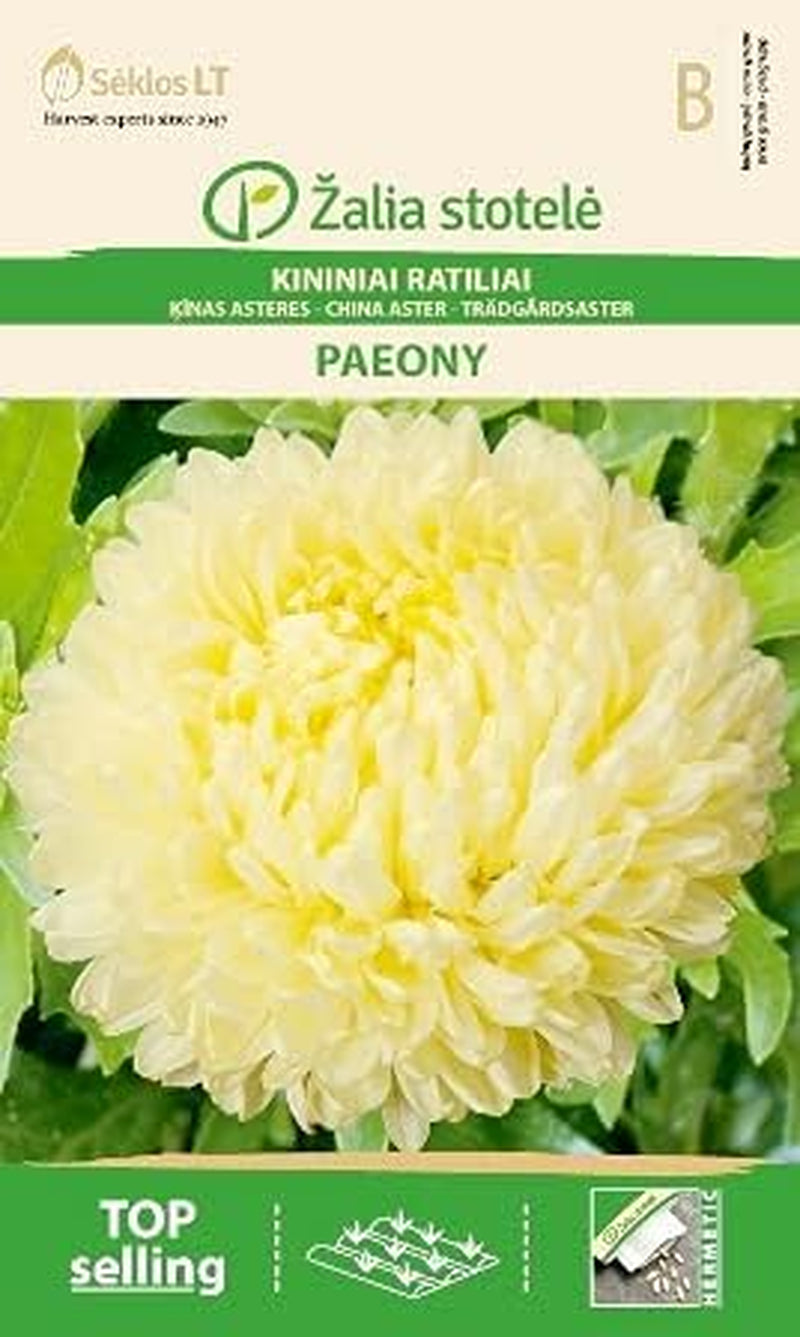 MARIENGLOCKENBLUME | Einjährig Blumen | Blumensamen | Die Pflanzen Tragen Große Und Farbenfrohe Blüten | Pflanzensamen | 1 Pack