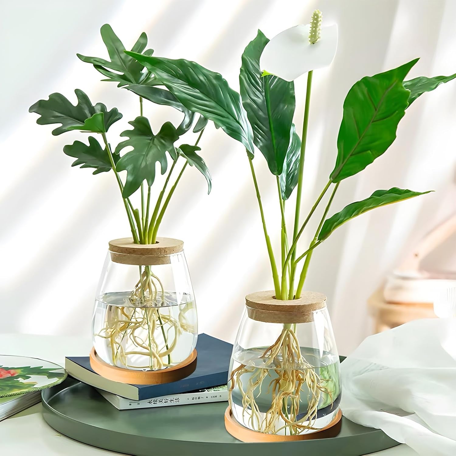 Stație de creștere a plantelor hidroponice, 12 x 11 cm, vază pentru semințe de avocado, ghiveci din sticlă, vază hidroponică din sticlă pentru plante acvatice sau flori, decor de masă pentru birou, 2 bucăți