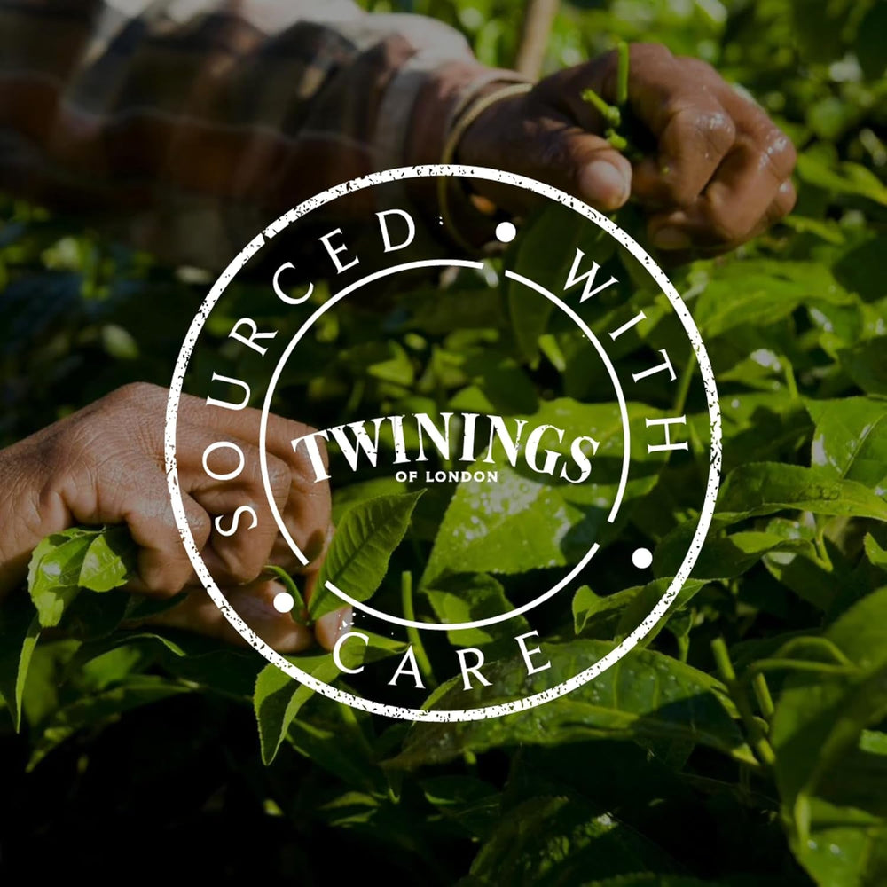 Twinings EARL GREY Ceai negru în pliculețe, rafinat cu aromă de bergamotă - Ceai negru din China, renumit în întreaga lume și extrem de revigorant, pachet de 1 (25 pliculețe)