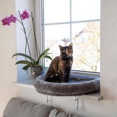 Pături și mobilier, Scaune ferestre, Animale de companie, Pisici, Paturi pentru pisici, Pisici - culcusuri, saltele