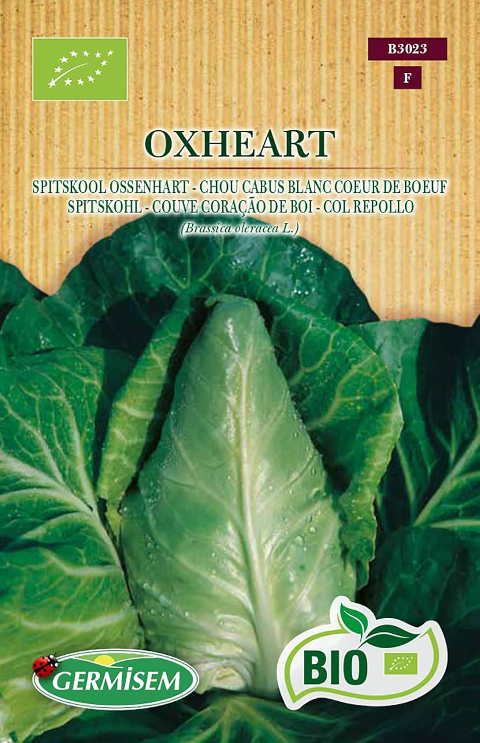 Spitskohl OXHEART ECBIO3023