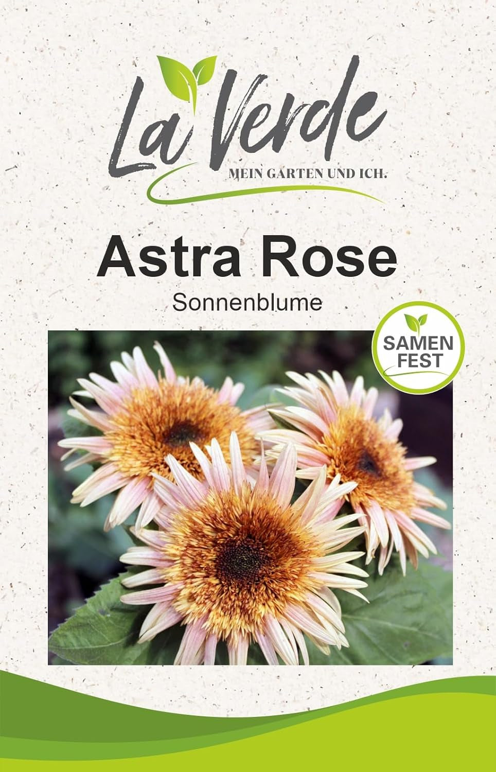 La Verde MEIN GARTEN UND ICH. Astra Rose Sonnenblumen Samen Für Ca. 50 Pflanzen, Blumensamen Halb Gefüllt Und Lang Blühend, Saatgut Ohne Gentechnik