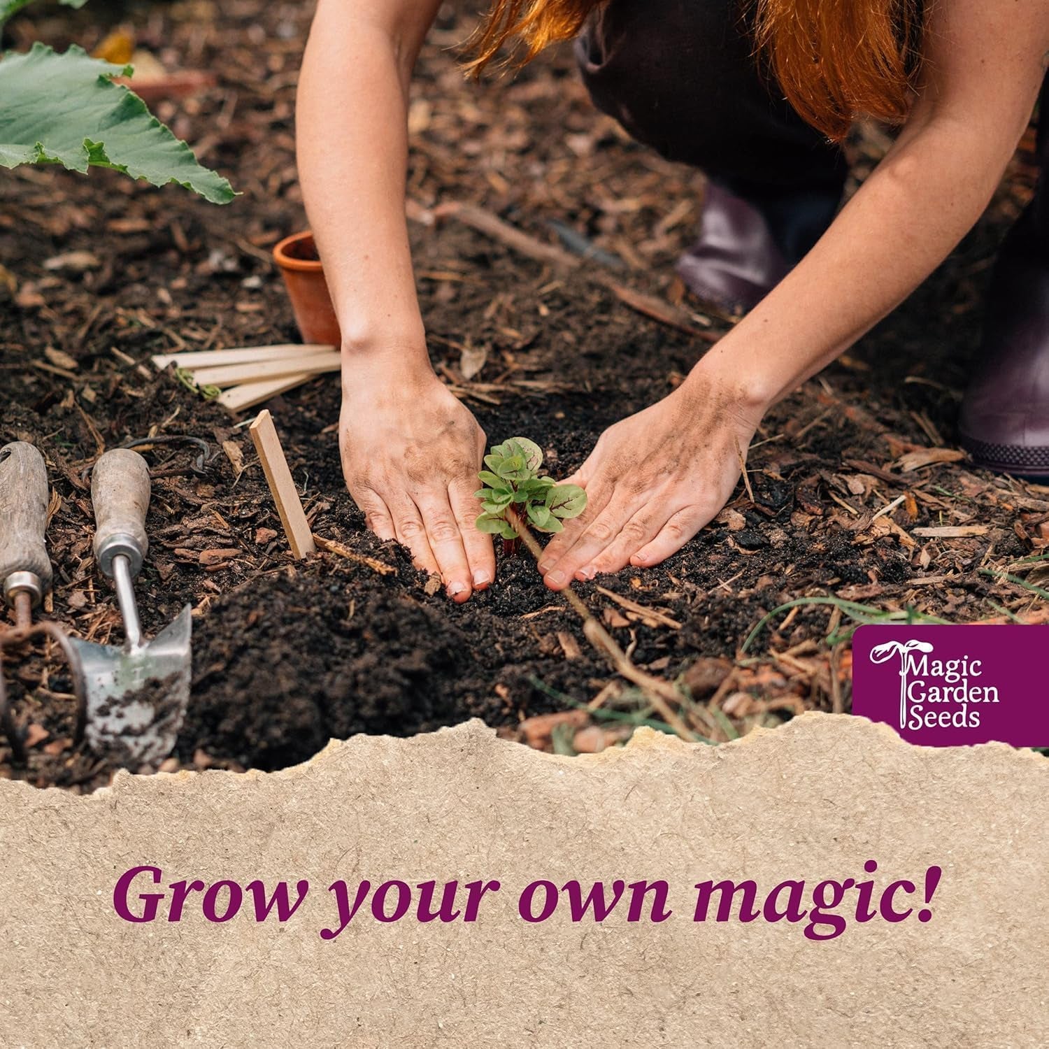 Magic Garden Seeds - Zauber- & Schamanenpflanzen - Samen Geschenk Set Mit 5 Magischen Kräutern Für Magie Im Garten - Kräuter Anzuchtset Mit Alraune, Bauerntabak, Salbei, Bilsenkraut Und Habichtskraut