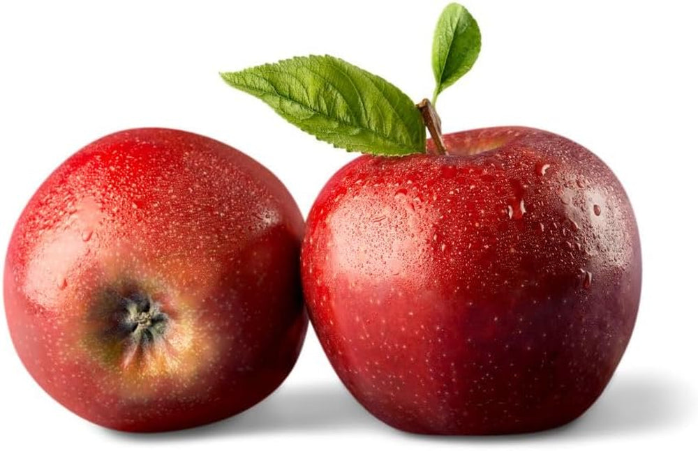 Apfelbaum Fuji – Antike Sorte, Topf Ø 26 Cm, Max. Wuchshöhe 180 Cm Alter: 4 Jahre – Italienische Baumschule