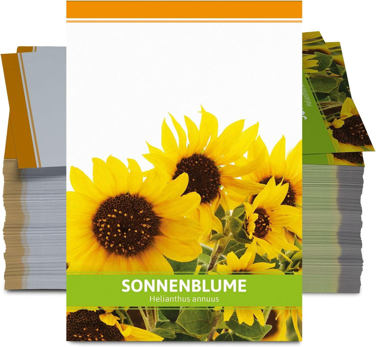 FLORTUS Sonnenblumen Samen Für Gastgeschenke (100 Tütchen) | Blumensamen Perfekt Als Dankeschön Geschenke, Werbegeschenke & Gastgeschenke Hochzeit