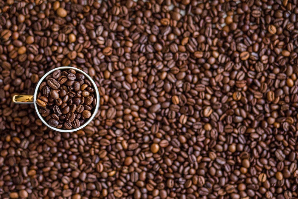 Kaffeespezialität Aus Mittelamerika - Mexico, Dem Reich Der Azteken (1000 Gramm,Ganze Bohne) - Länderkaffee - Spitzenkaffee - Säurearm - Schonend Und Frisch Geröstet