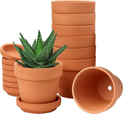 Hollyone set de 8 piese de ghivece mici din teracotă, ghivece rotunde din lut de 8 x 8 cm cu farfurie și orificiu de drenaj, ghivece mici cu tavă, ghivece suculente din teracotă pentru plante de apartament, jardiniere ceramice
