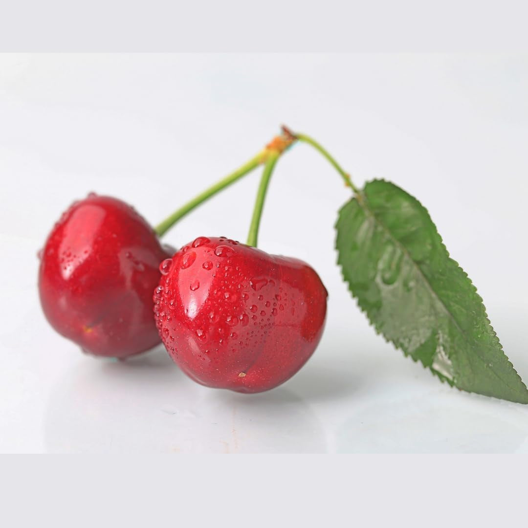 Zwerg-Süßkirschbaum Lapins Auf Gisela 5 – Selbstfruchtend, Obstpflanze Im Topf Ø 20 Cm — Höhe 150-170 Cm, Alter: 2 Jahre – Italienische Baumschule
