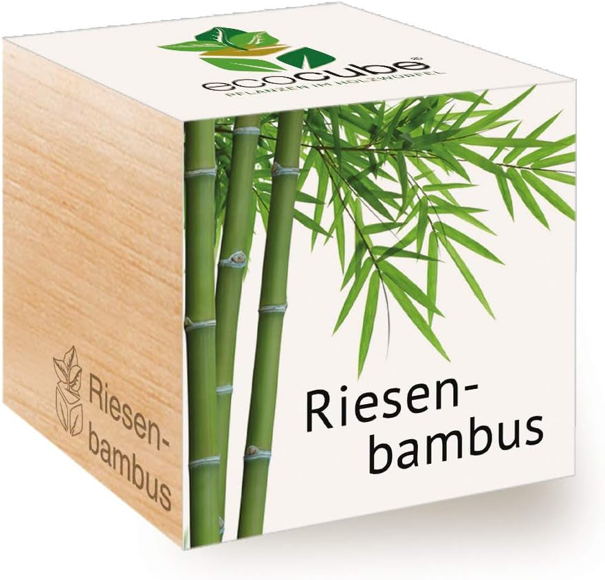 Feel Green Ecocube Weihnachtsbaum/Xmas Tree, Nachhaltige Geschenkidee (100% Eco Friendly), Grow Your Own/Anzuchtset, Pflanzen Im Holzwürfel, Made in Austria