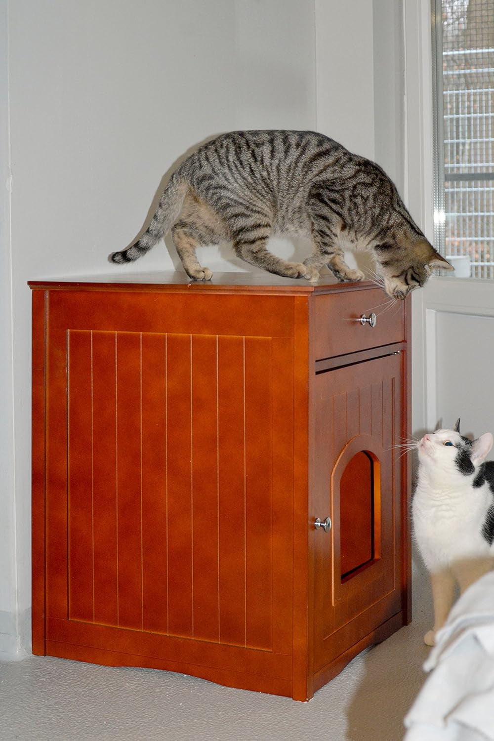 Pături & Mobilier, Animale de companie, Peșteri & Case, Pisici, Paturi pentru pisici, Pisici - culcusuri, saltele