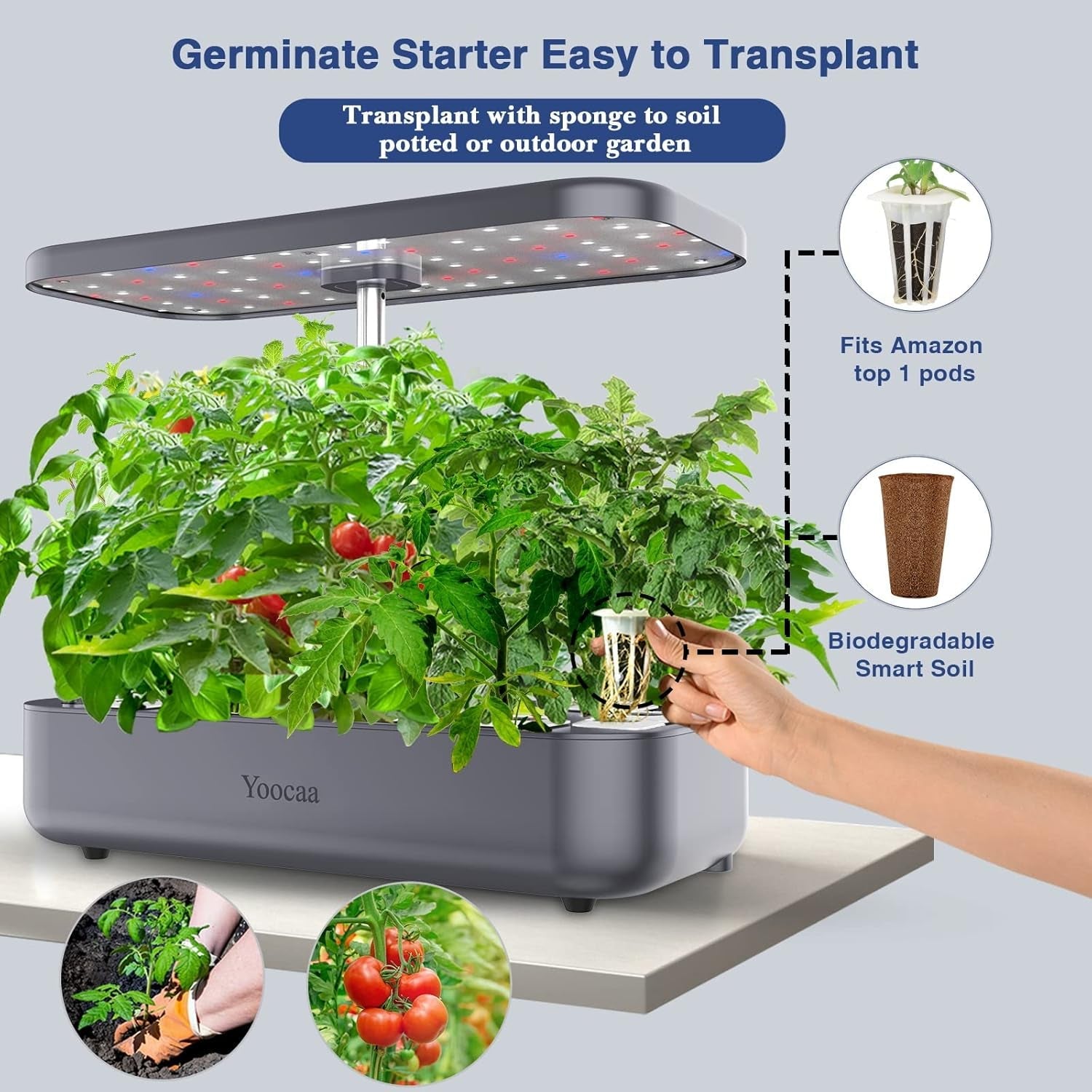 Sistem de creștere hidroponică cu 12 ustensile, Set de grădină de plante aromatice de interior cu lumină LED, Grădină inteligentă pentru casă, Bucătărie, Kit de germinare cu temporizator automat (Gri)
