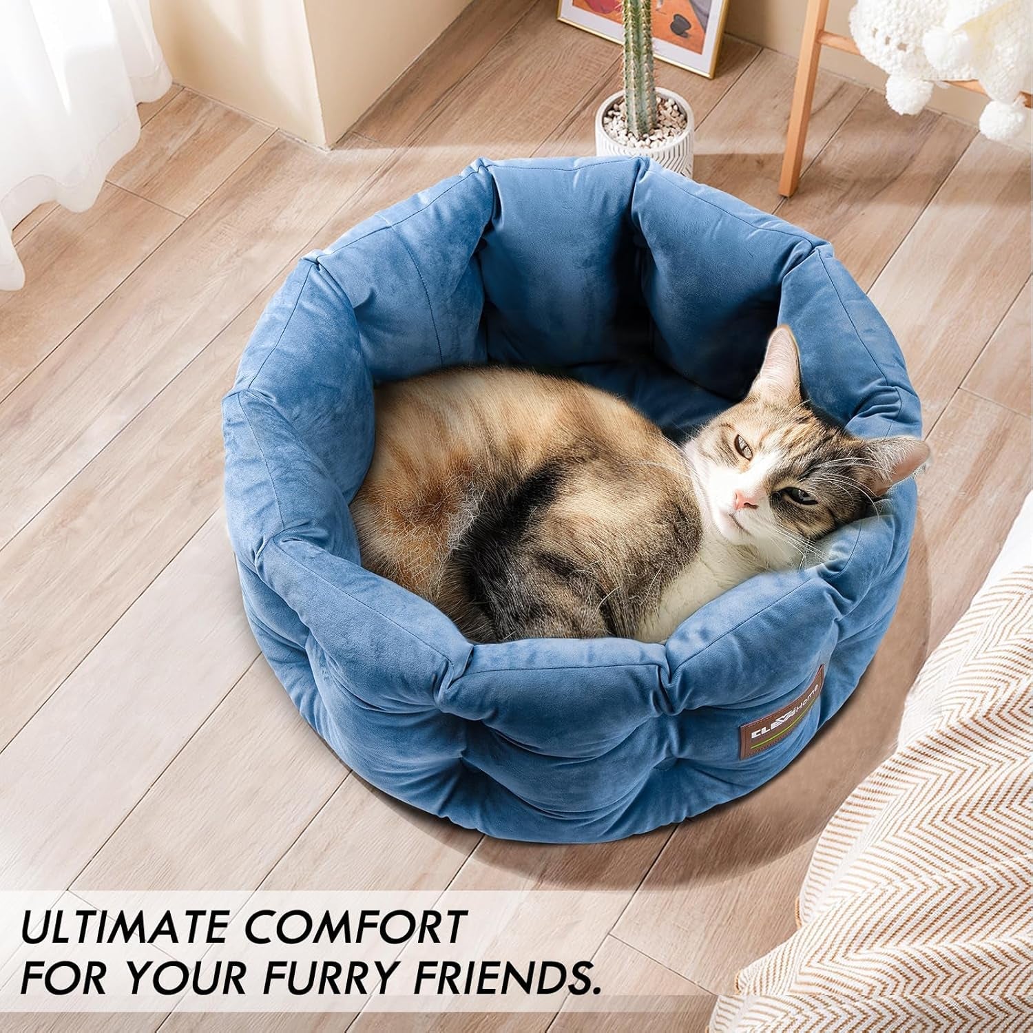 Paturi & Canapele, Pături & Mobilier, Animale de companie, Pisici, Paturi pentru pisici, Pisici - culcusuri, saltele