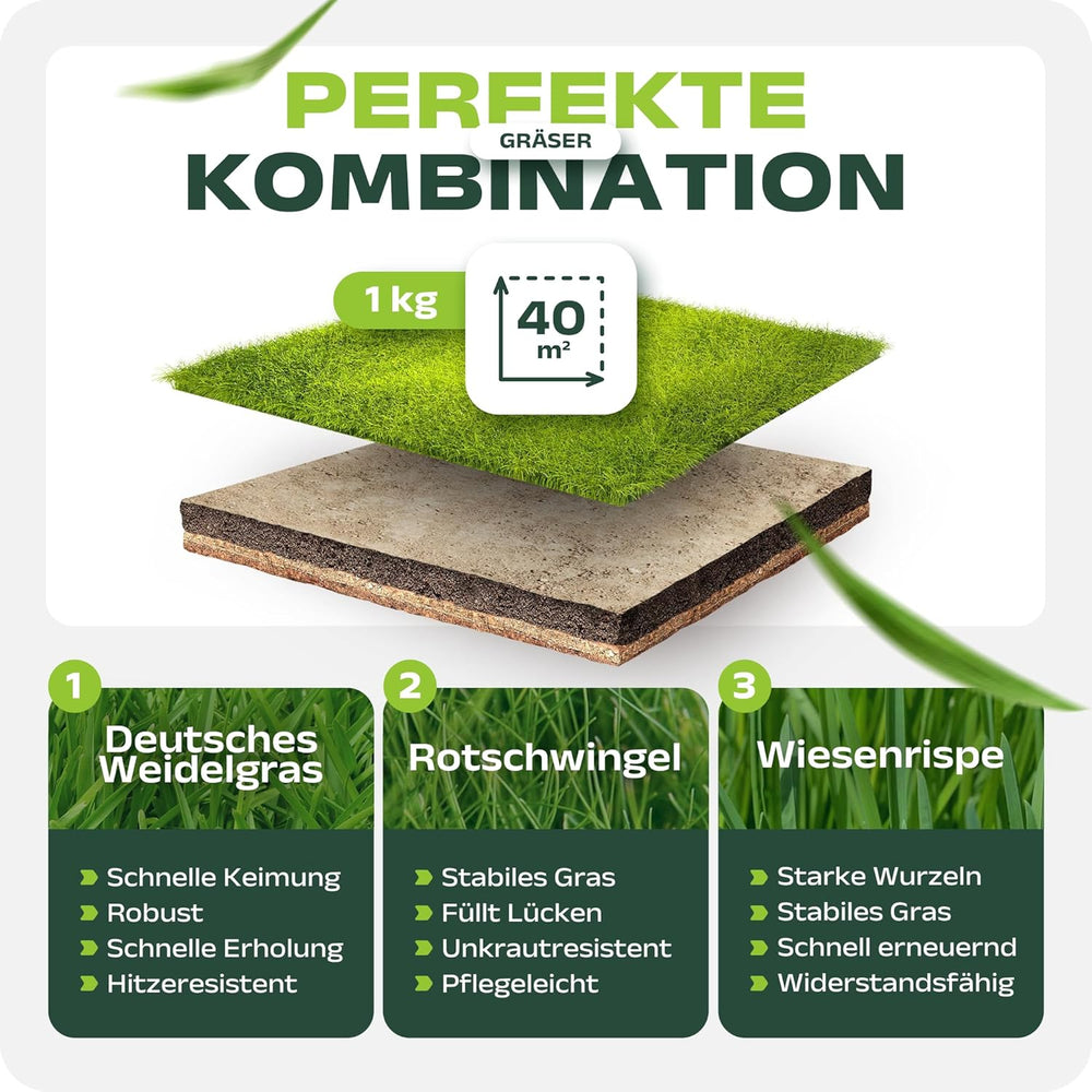 SEHR GUT Getestet | Rasensamen Schnellkeimend 1Kg Für 40M² | Frühjahr Sport Und Spiel Rasen | Grassamen Trockenresistent Für Rasensaat Und Nachsaat