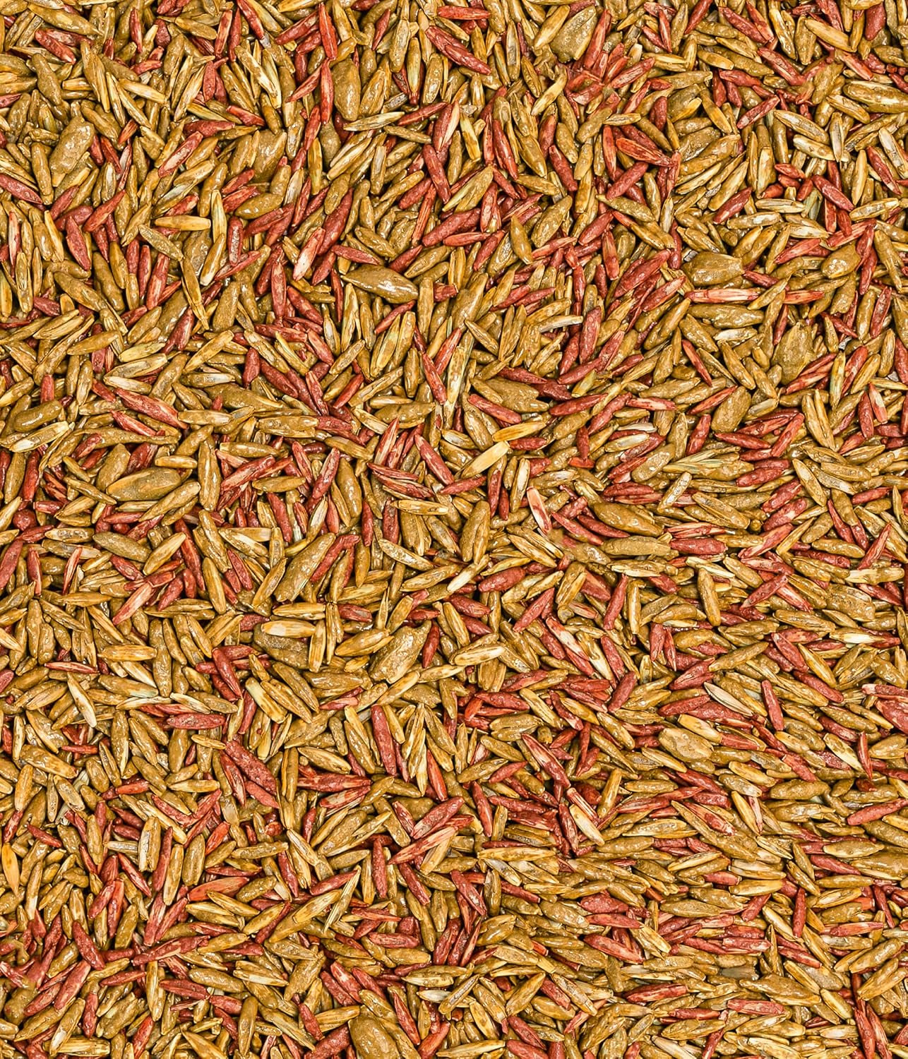 Dehner Saatgut Rasen-Nachsaat, Hochwertige Rasensamen Zur Regeneration Geschädigter Rasenflächen, Schnell Keimend/Pflegeleicht, Mit Mantelsaat Für Optimalen Bodenkontakt, 1 Kg Für Ca. 50 M²