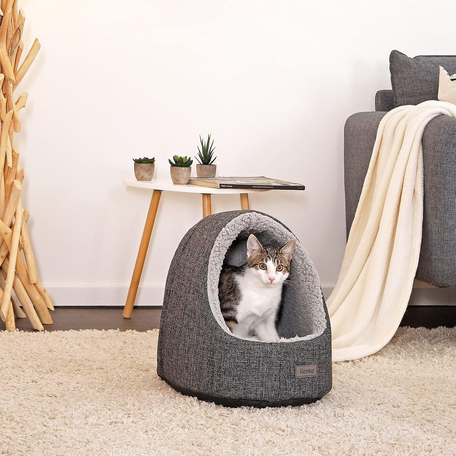 Pături & Mobilier, Animale de companie, Peșteri & Case, Pisici, Paturi pentru pisici, Pisici - culcusuri, saltele