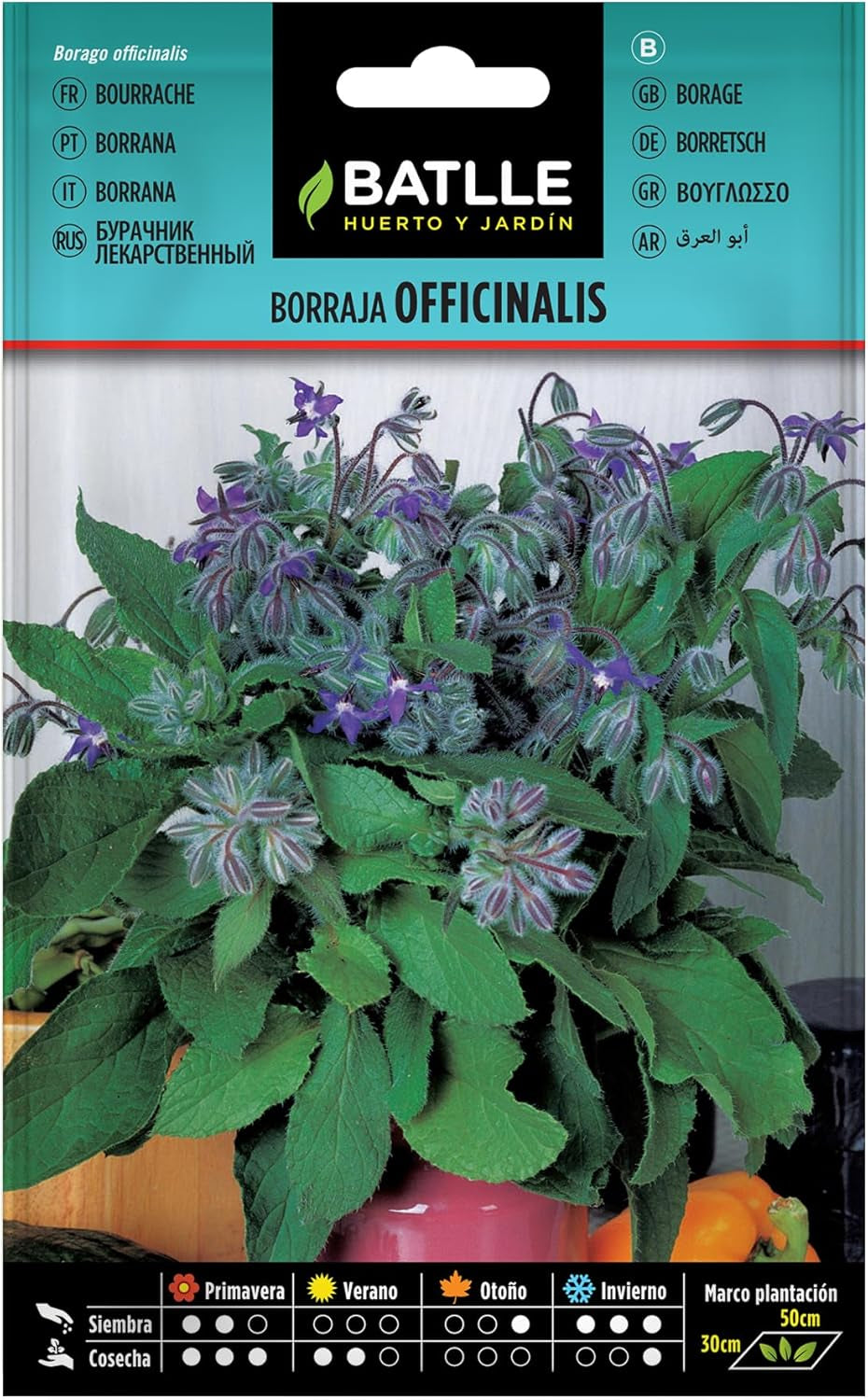 Batlle Kräutersamen - Borretsch Officinalis (Samen - 50Cm) Gurkenkraut