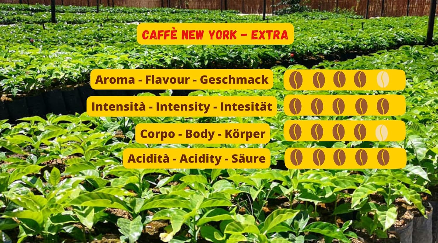 Cafea boabe New York Caffe EXTRA 500g