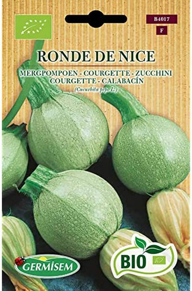 Zucchini RONDE DE NICE, ECBIO4017