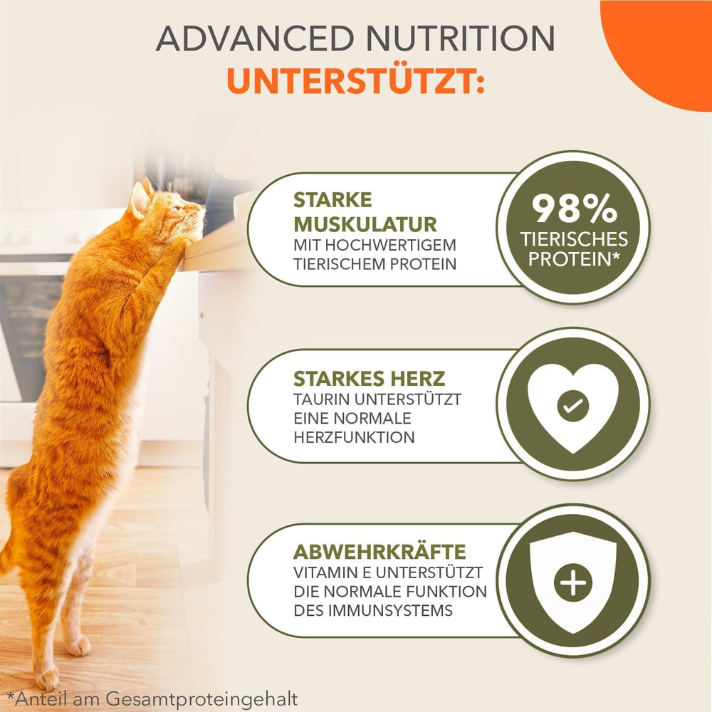 IAMS Delights Land Collection Hrană umedă pentru pisici fără cereale - Pachet multiplu cu varietăți de carne în sos, hrană umedă fără cereale pentru pisici de la 1 an, 12 x 85 g