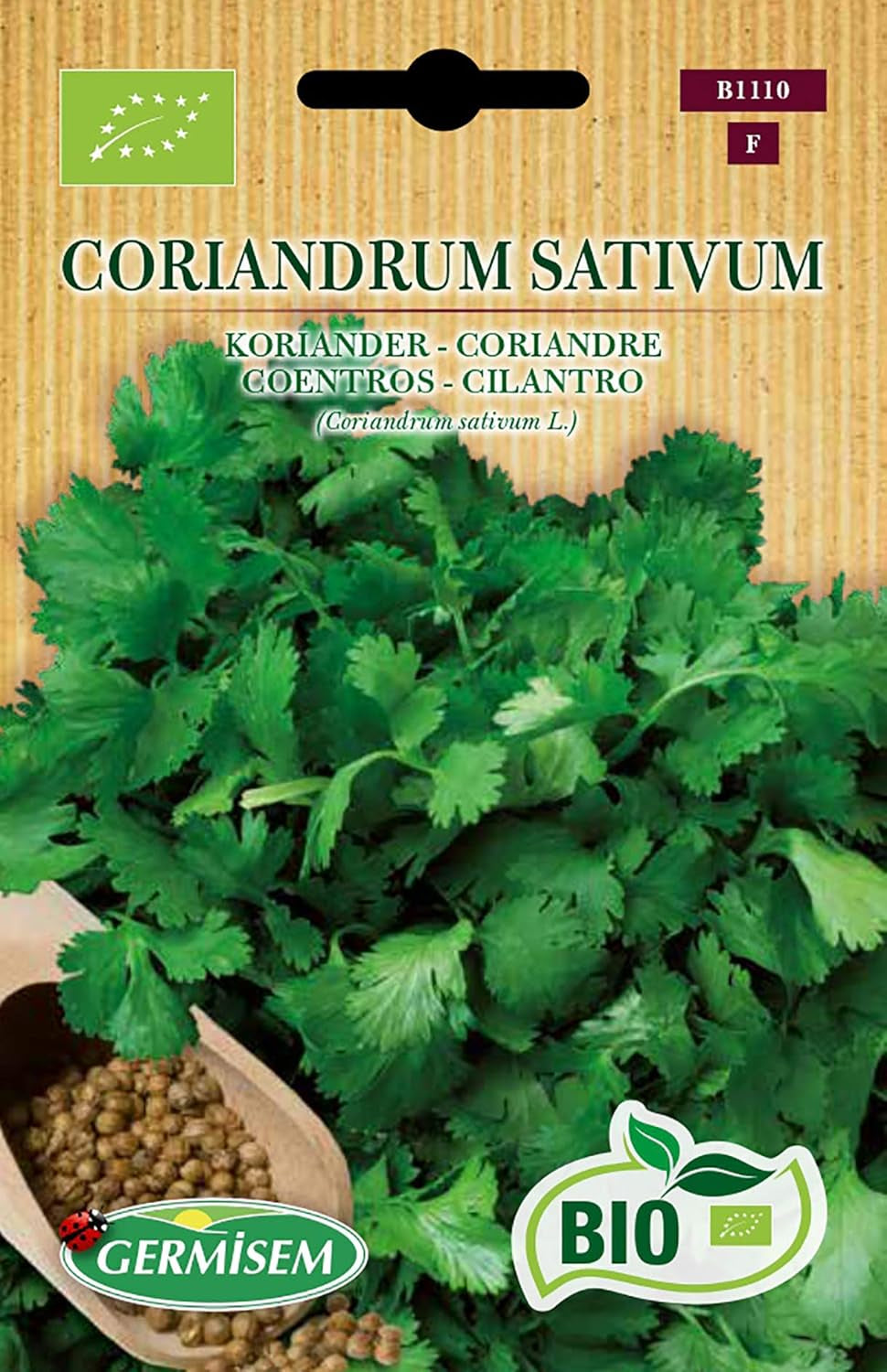 CORIANDRUM SATIVUM