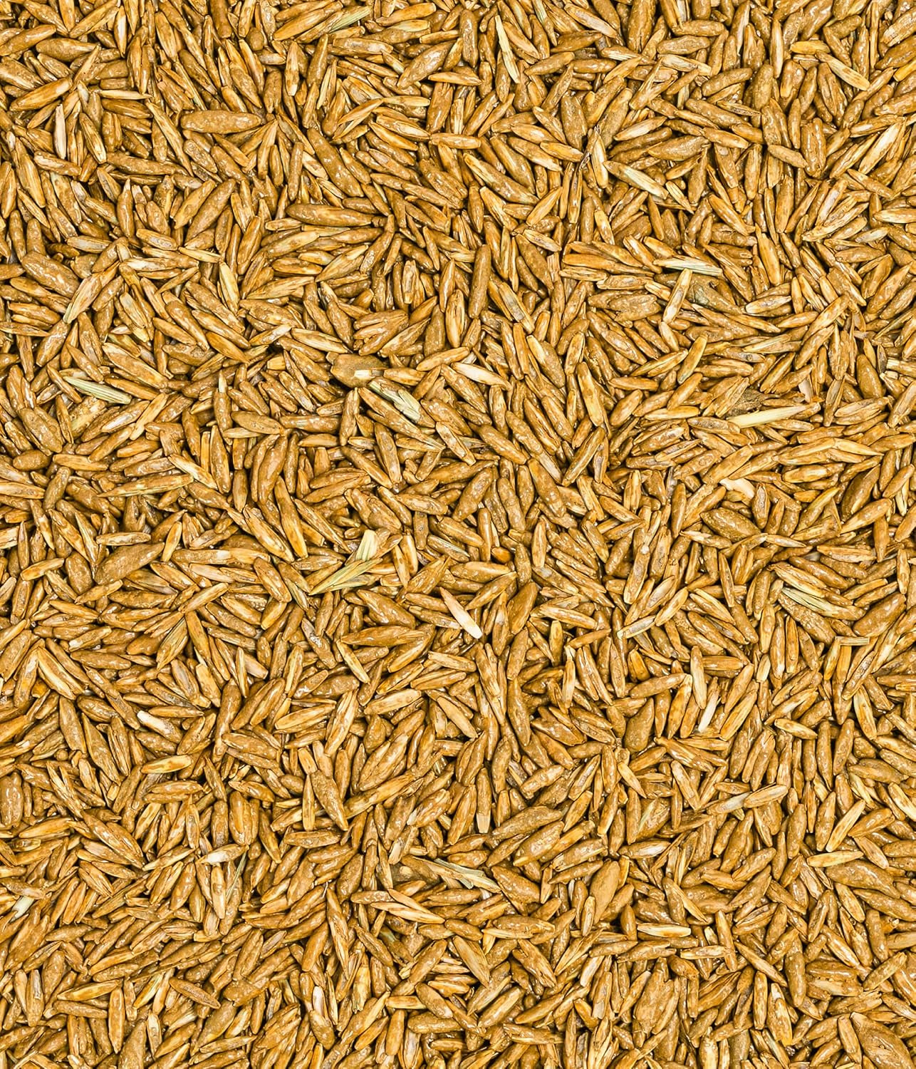 Dehner Bio Saatgut Rasen-Nachsaat, Hochwertige Saatgutmischung, Raschwüchsig / Schnellkeimend, 500 G, Für Ca. 25 M², Natur