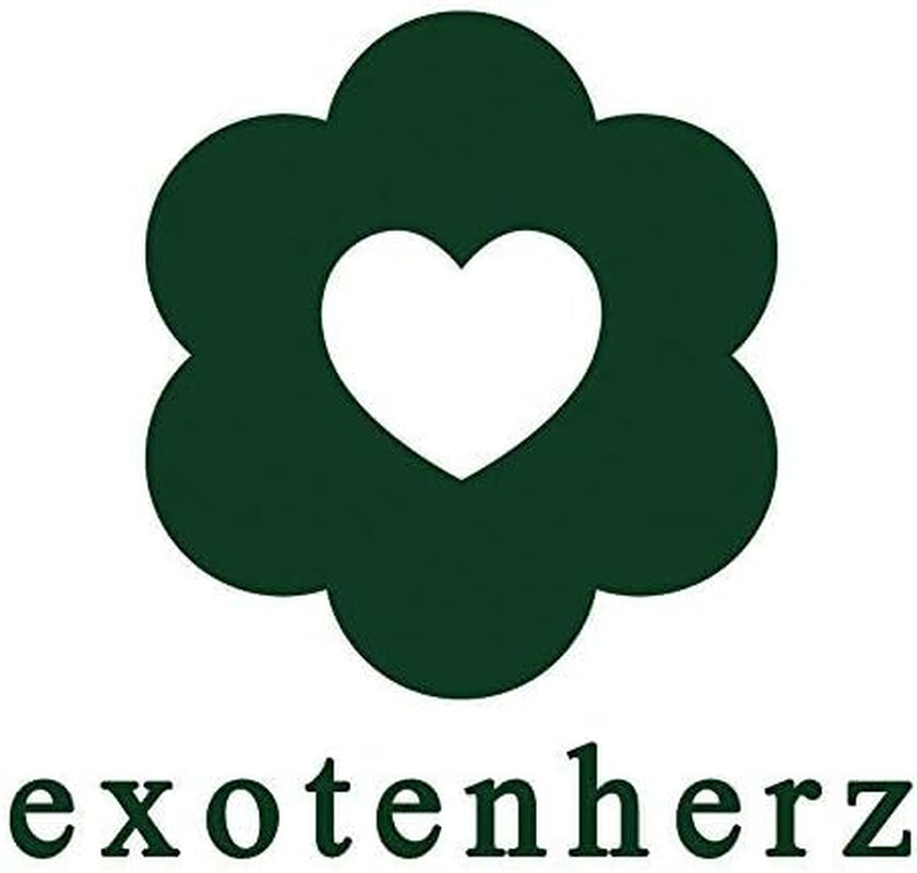 Exotenherz - Geschenkset Bonsai "Carmona" - Fukientee - Ca. 6 Jahre Alt - Anfänger-Set