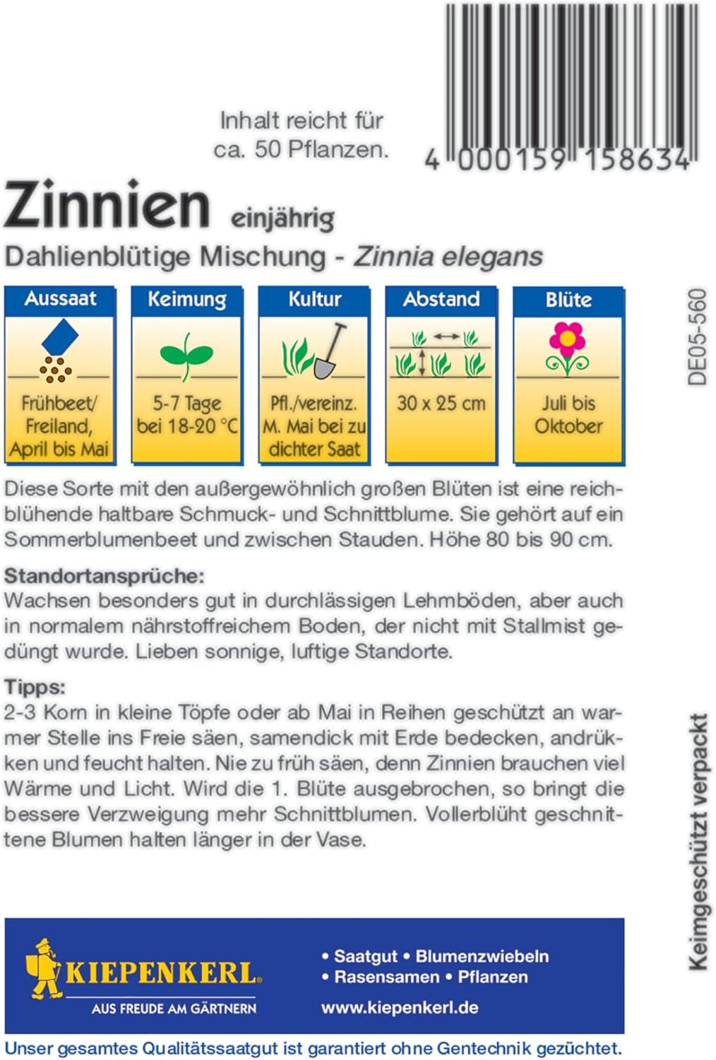 Zinnien Dahlienblütige Mischung