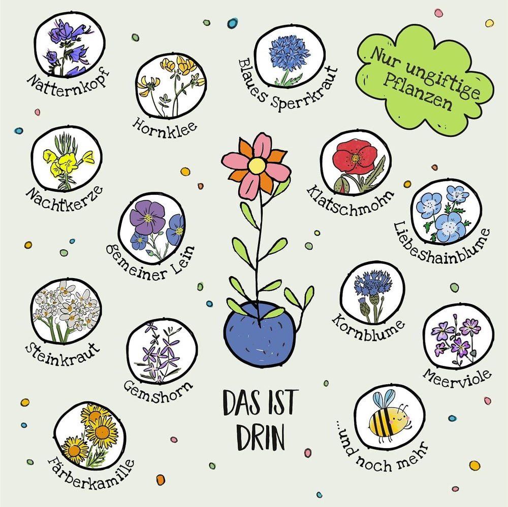 Die Stadtgärtner Blumenmurmeln Das Original I 25 Handgemachte & Kunterbunte Samenbomben Mit Über 20 Arten Von Blumen-Saatgut I Mitgebsel Kindergeburtstag I 100% Ökologisch & Min. 2 J. Haltbar