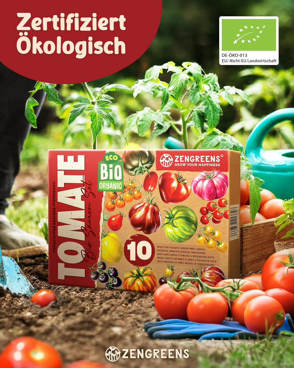 Semințe de roșii organice într-un set de 10 - 10 semințe de roșii pentru cultivare ușoară în grădină, balcon sau strat înălțat - semințe de plante - răsaduri