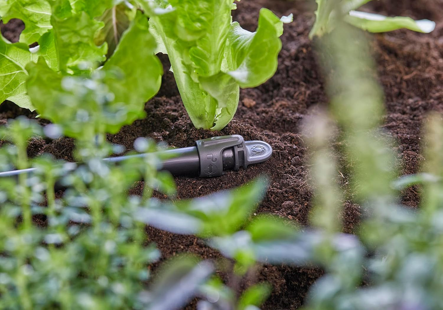 Dop de etanșare Gardena Micro-Drip-System 13 mm (1/2 inch): Închidere practică pentru țevi de 13 mm, Tehnologie de conectare rapidă și ușoară, reutilizabil (13205-20)