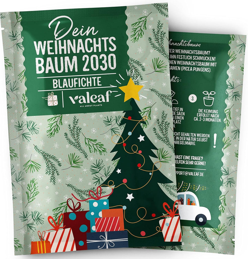 Brad de Crăciun 2030 - Semințe de brad Nordmann pentru plantarea unui brad de Crăciun, ideal ca și cadou de Crăciun Secret Santa