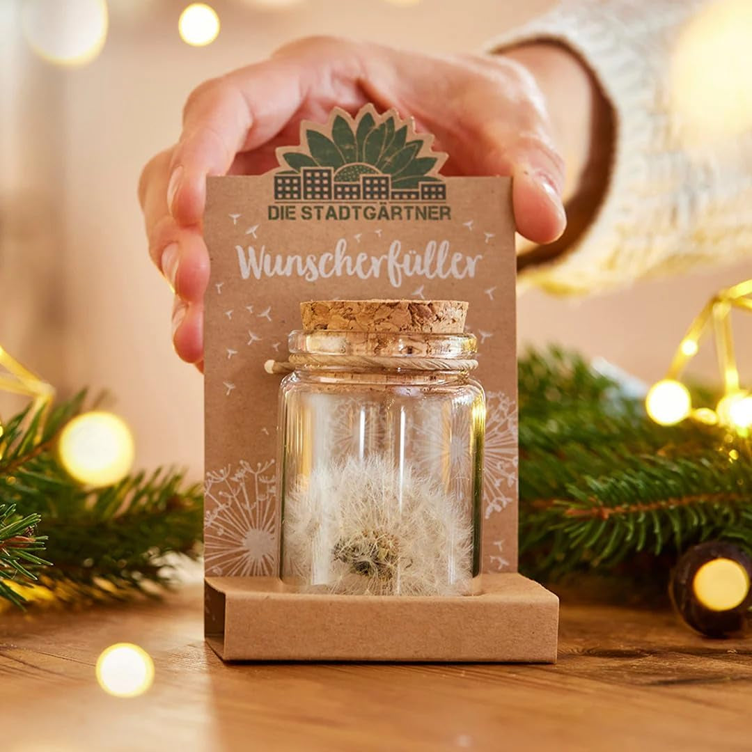 Die Stadtgärtner – 3X Wunscherfüller I Echte Pusteblume Im Glas I Ewig Haltbar I Perfekte Geschenkidee Für Jeden Anlass I Geschenke Für Frauen & Freundin