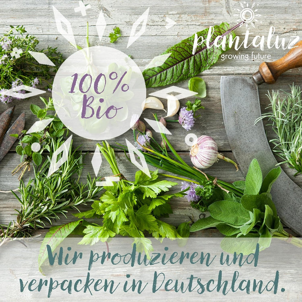 Set de semințe premium organice Plantaluz P03 – Set de semințe pentru plante culinare și medicinale pentru grădină, balcon și interior – incl. bețe de plantare FSC – Semințe organice polenizate liber, netratate și fără OMG-uri