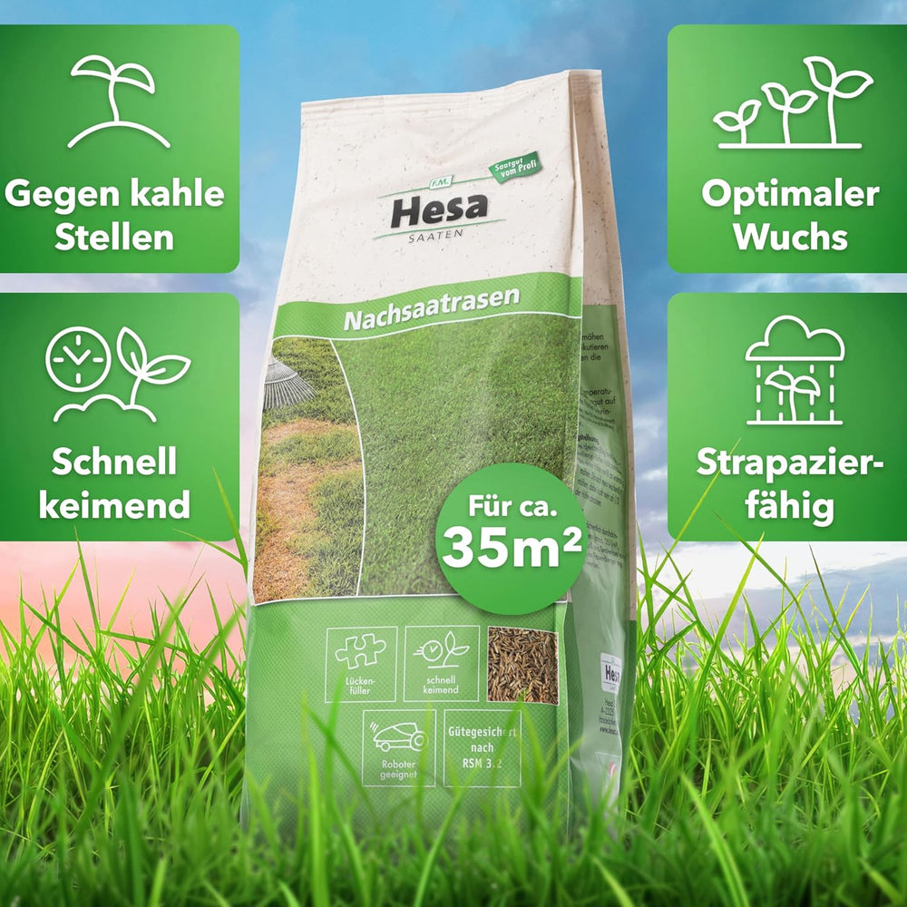 Hesa Nachsaatrasen, 1 Kg Für 35 M², RSM 3.2, Schnellkeimende Premium Rasennachsaat Von Frühling Bis Herbst, Rasenreparatur in Profiqualität