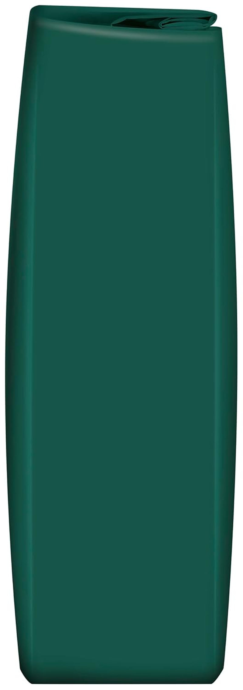 Fuchs Professional - Zwiebelpulver | Schonend verarbeitet, zum Würzen von herzhaften Gerichten | Profi-Qualität für Großverbraucher und Gastronomie | 1 kg im recyclebaren Beutel