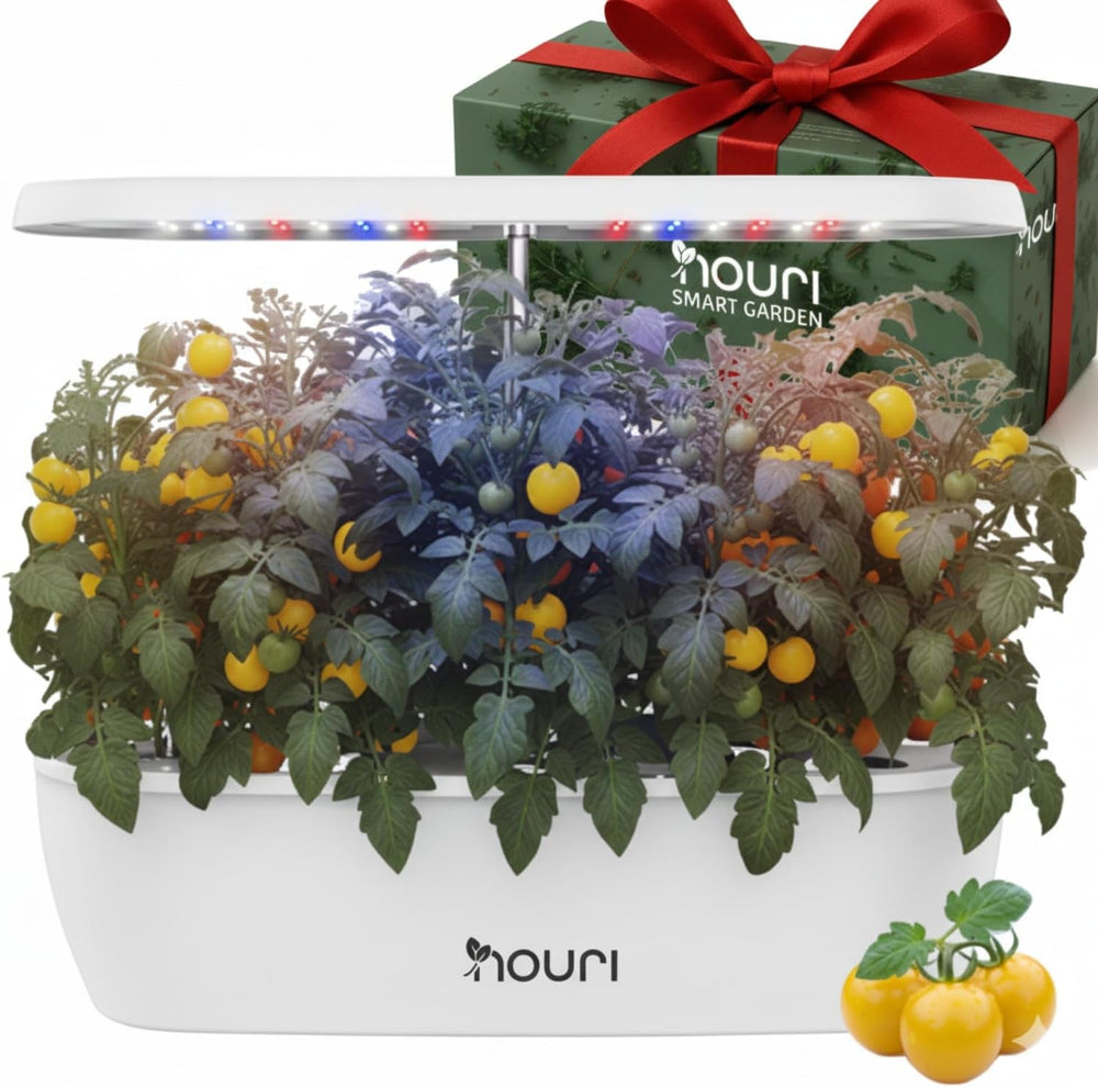 Nouri 7 Pod + Busuioc Heirloom | Grădină inteligentă pentru bucătari de acasă | Sistem de creștere hidroponică | Lumini LED de creștere | Kit de grădinărit cu plante aromatice de interior pentru iubitorii de plante și grădinari, Alb
