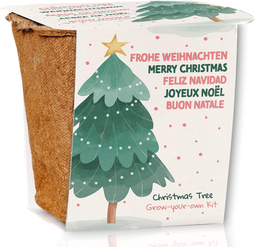 Weihnachtsbaum Anzucht Set I Tolle Geschenk-Idee, Wichtelgeschenke Weihnachten, Nikolausgeschenke Und Garten Geschenke I Weihnachtsbaum Aus Der Dose (Blaufichte 3)