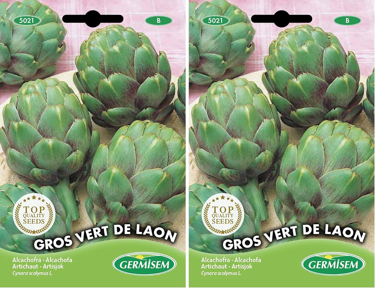 Artischocke VERT DE LAON, Mehrfarbig, EC5021 (Packung Mit 2)