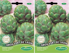 Artischocke VERT DE LAON, Mehrfarbig, EC5021 (Packung Mit 2)