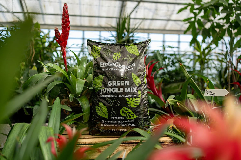 Floragard Green Jungle Mix 6 L – substrat mineral pentru plantare Monstera, Philodendron – asigură un drenaj optim și o creștere sănătoasă a rădăcinilor – ideal pentru plantele de apartament exigente