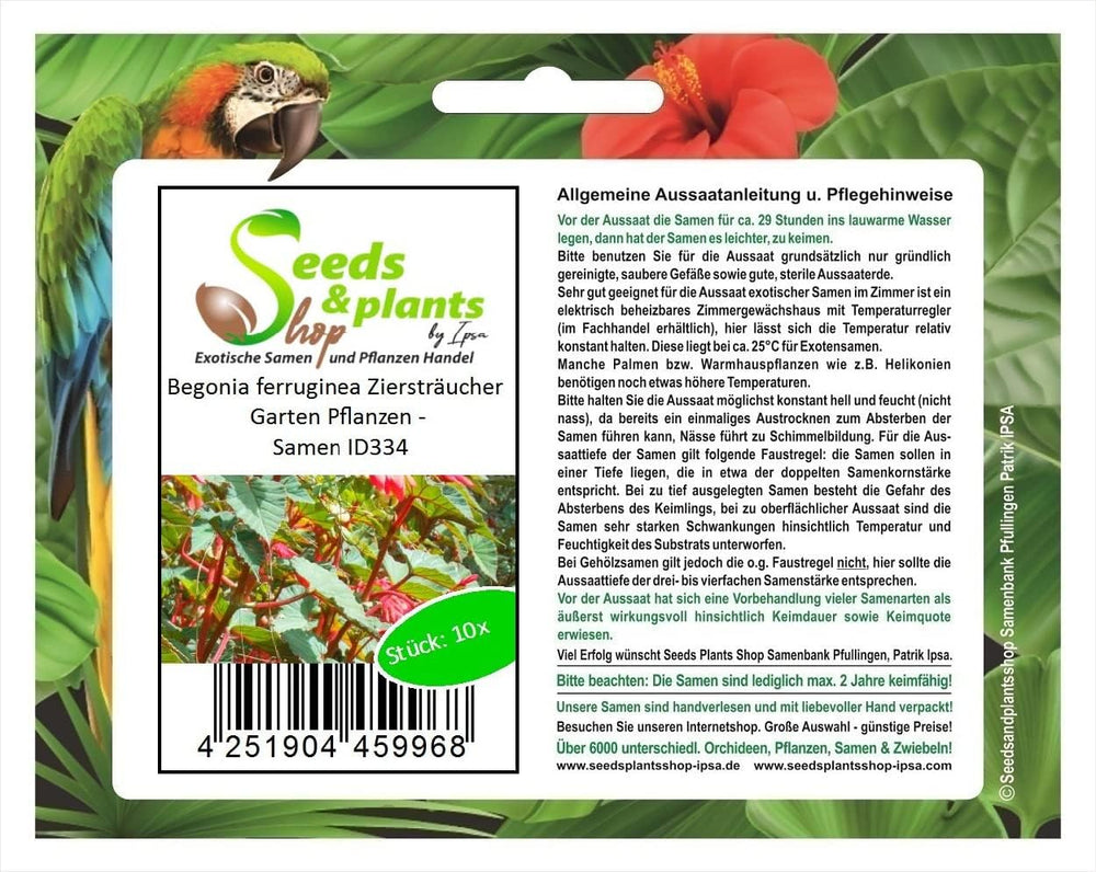 Stk - 10X Begonia Ferruginea Ziersträucher Garten Pflanzen - Samen ID334 -