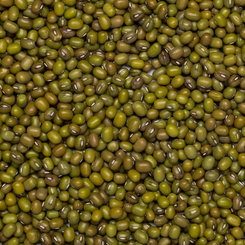 Fasole mung organică Wholefood Earth 2kg | Fără OMG | Vegană | Bogată în fibre | Bogată în proteine | Certificată organică